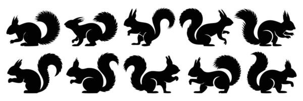 Set of 10 Black Silhouette Illustrations of Squirrels in Various Poses and Stances with Tails vector
