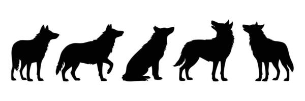 Silhouette of Five Wolves in Different Poses Walking Sitting and Standing in Black and White vector
