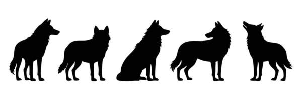 Black and White Wolf Silhouettes in Different Poses Including Walking, Sitting, and Standing vector