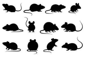 Diverse Mouse Silhouettes Displaying Various Stances, from Sitting to Standing and Crawling vector