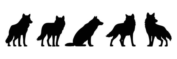 Set of Five Wolf Silhouettes with Various Poses and Styles in a Clean Black and White Design vector