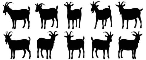 Set of Goat Silhouettes in Different Poses Including Sitting, Standing, Walking, and Side Views vector
