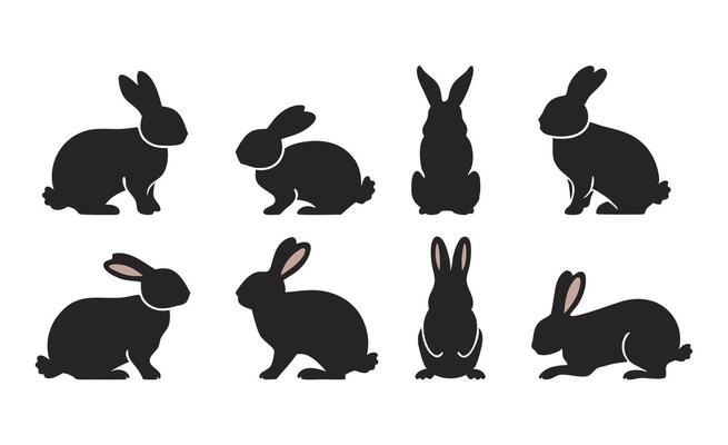 Set of Rabbit Silhouettes in Black, Displaying Multiple Stances of Sitting, Standing, and Hopping