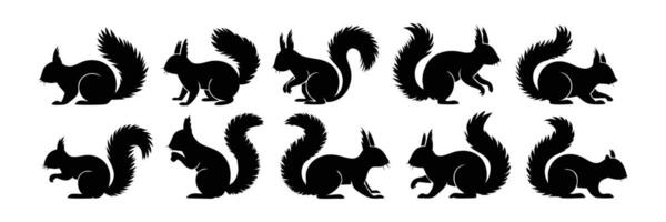 Collection of 10 Squirrel Silhouettes Displaying Different Movements with Tail Variations vector