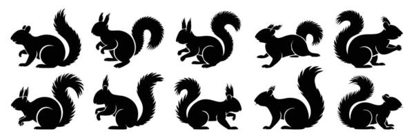 Black Silhouettes of Squirrels in Different Poses Including Sitting, Running, and Tail Movements vector