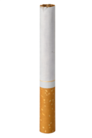 single sigaret met schoon wit papier en filter geïsoleerd Aan transparant achtergrond png