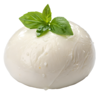 Fresh mozzarella with basil leaf Isolated on the transparent background, italian dairy delicacy png