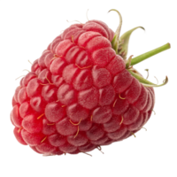 Single ripe red raspberry isolated on transparent background, fresh and juicy with vibrant color and natural shine png