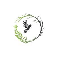 bird and branch drawing, vector