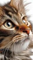 Feline portrait with striking eyes and detailed fur textures. photo