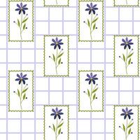 Pattern with violet flowers on checkered background vector