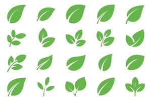 Collection of Twenty Green Leaf Icons Isolated on White Background vector