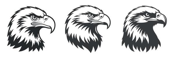 Three stylized eagle head illustrations in monochrome for logo design and branding projects vector