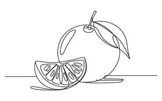 Single Line Drawing of a Whole Orange and a Slice on a White Background vector