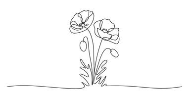 Elegant Single Line Drawing of Two Poppies with Buds and Leaves vector