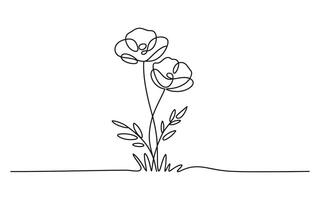 Elegant Line Art Drawing of Two Poppies with Stems and Leaves vector