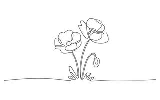 Single Line Drawing of Two Poppies and Bud Minimalist Botanical Illustration vector