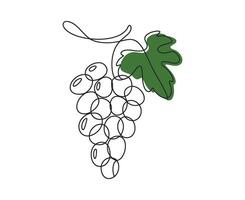 Single Line Drawing of a Grape Bunch with a Green Leaf Minimalist Illustration vector