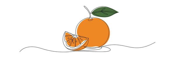 Single Line Drawing of a Whole Orange and a Slice on White Background vector