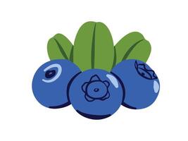 Blueberries Symbol Illustration. Flat Three Berries and Green Leaves Isolated on White Background vector