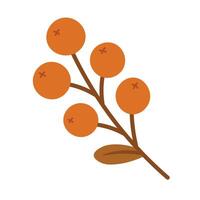 Hand drawn branch with red berries and leaf. Autumn harvest in flat cartoon style. vector