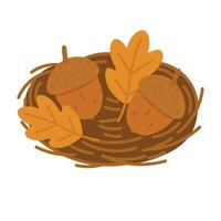 Warm autumn composition with two acorns and leaves in a nest on white background. vector