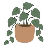 Flat illustration of a trailing houseplant with heart-shaped leaves in a ceramic pot. vector