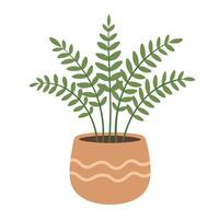 Flat fern with delicate leaves in a decorative pot, perfect for indoor design projects. vector