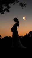 Pregnant Silhouette Surrounded by Blooms photo