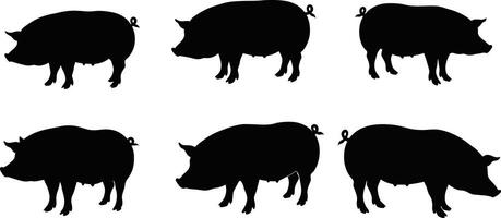 Pig silhouette set with various pig profiles in black color for farm or animal themed designs and illustrations vector
