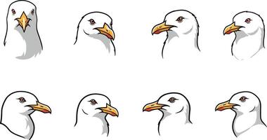 Seagull head illustration set with white feathers and orange beak in different angles and expressions for graphic design use vector