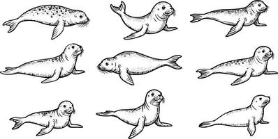 Black and white fish silhouette set with different poses and orientations for aquatic design projects vector