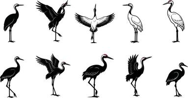 Crane bird set showing different poses and wing positions in black detailed line art drawing vector