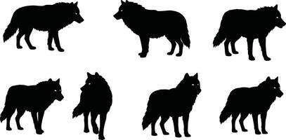 Wolf silhouette set in black showing different poses and angles for wildlife and nature design elements illustration vector