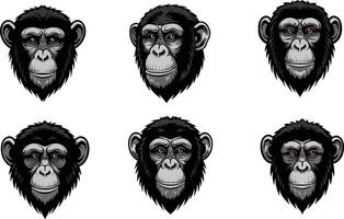 Chimpanzee Heads with Various Facial Expressions Illustration Showing Different Emotions and Angles vector