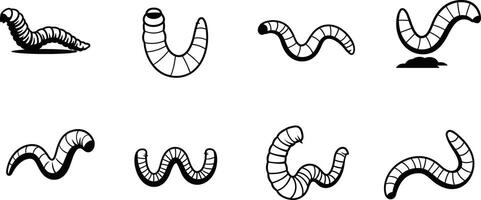 Earthworms in various natural poses illustration showing segmented worm details and movements vector