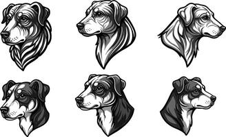 Detailed dog head illustrations with realistic sketch style showing different breeds and side views in black and white format vector