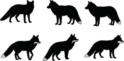 Fox silhouette set with six different standing and walking poses in black illustration vector