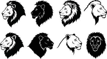 Lion heads silhouette set showing different lion faces and expressions in black and white design for wildlife artwork vector