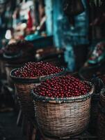Holders of Fresh Coffee Cherries photo
