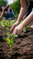 Garden Initiative of Community photo