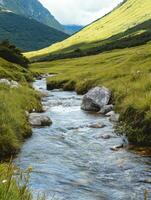 Pure Waters in Verdant Valley photo