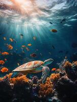 Tranquility Under Sea Fish and Turtles photo