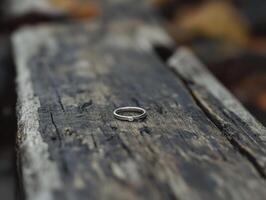Nuptial Rings on Aged Timber photo