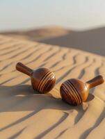 Music Made with Dune Maracas photo