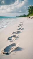 Turtle Traces Direct to the Sea photo