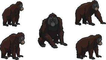 Orangutan face illustration with multiple facial expressions in black and grey tones for wildlife design vector