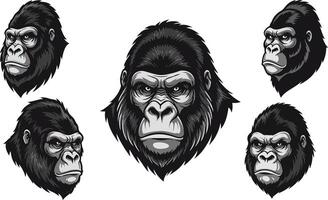 Gorilla head set with black and white face variations for wildlife and animal design projects vector