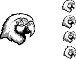 set of detailed black and white parrot head illustrations in various poses and expressions for design and creativity use vector