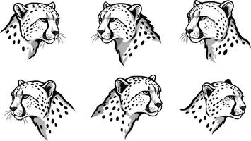 Cheetah Head Illustrations with Various Angles and Expressions in Black and White Style vector